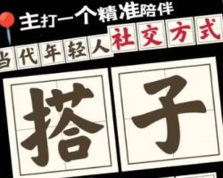 火爆全网的搭子项目深度思考