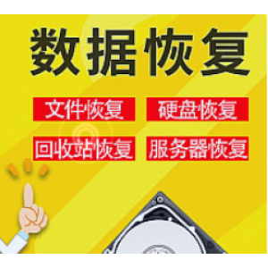 电脑数据恢复神器工具，可恢复删除、格式化、损坏和重新分区的文件（技术员内部版价值500美元，可无限制使用）