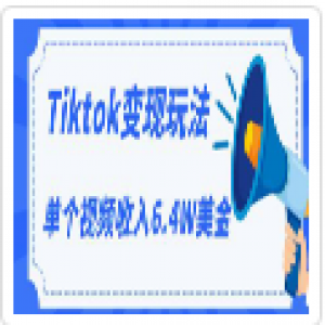 TIKTOK变现玩法，不自己拍摄视频，不露脸，单个视频收入6.4W美金（视频+文档）