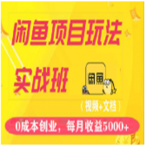 龟课·闲鱼项目玩法6月实战班，全新升级，月收益5000+（视频+文档）