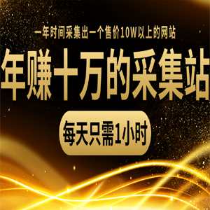 年赚十万的采集站，每天却只需要1小时，一年时间采集出一个售价10W以上的网站