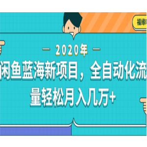 闲鱼新蓝海项目，全自动化流量轻松月入几万 「视频教程」