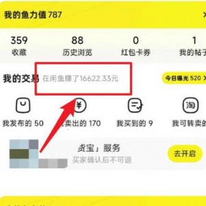 闲鱼最新暴力玩法，靠低价渠道单日收益1000+，附详细实操及渠道