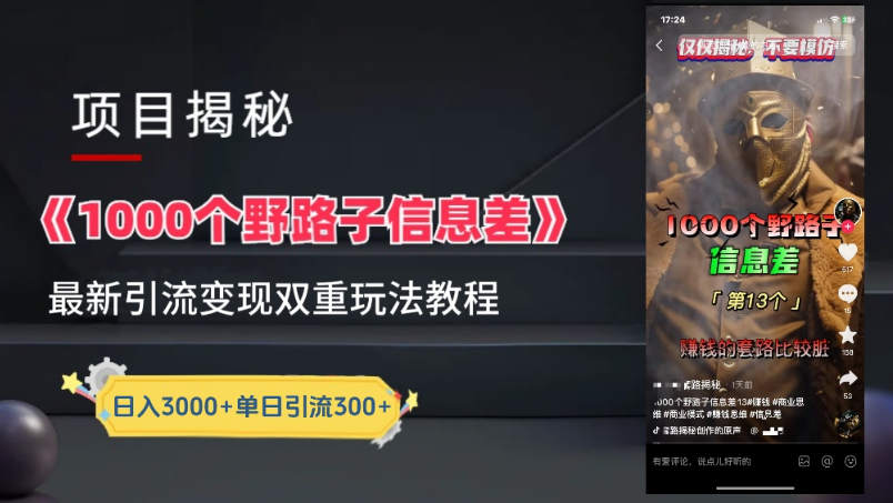 一千个野路子信息差，24年最新玩法教程附带变现方法和引流的玩法具体拆解-独家科技资源网